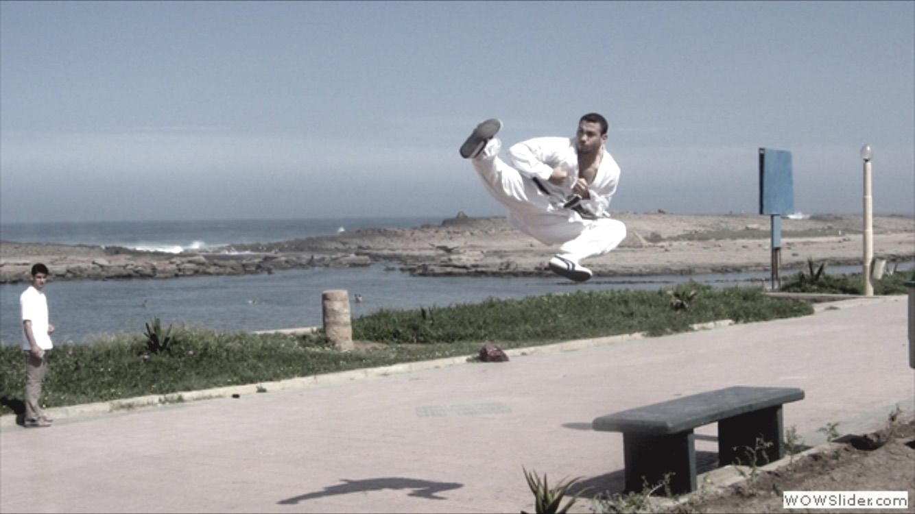 A figure holding a high kick against a seaside horizon.